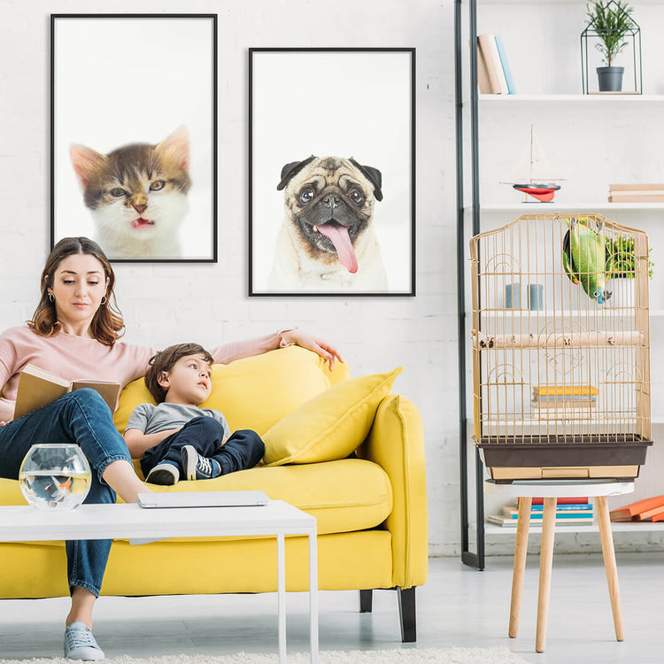 image of a mother and her child watching a bird while sitting on a yellow sofa, there are two animal posters one of a cat and the other of a dog