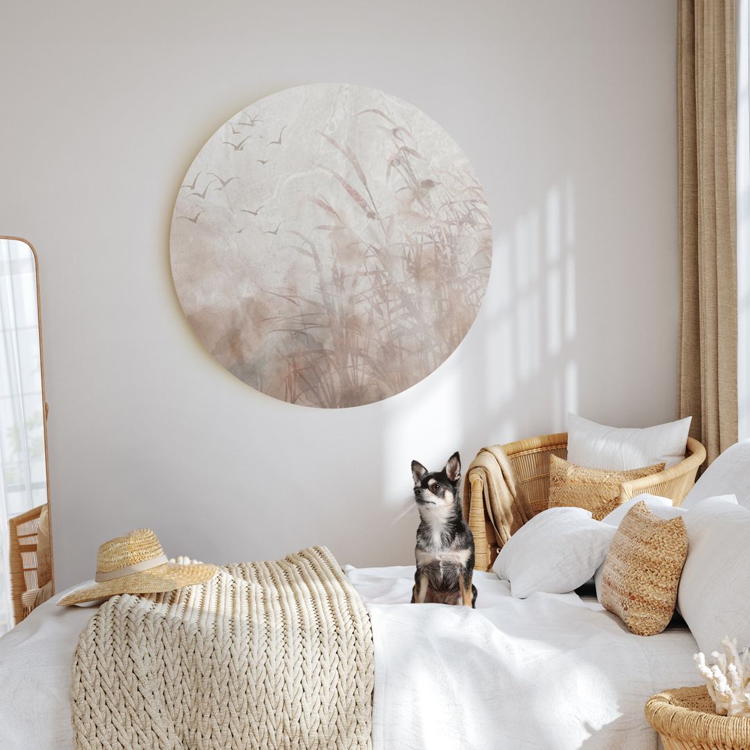 a round canvas print mounted on a wall with a dog standing on a beautiful white bed in a cosy bedroom