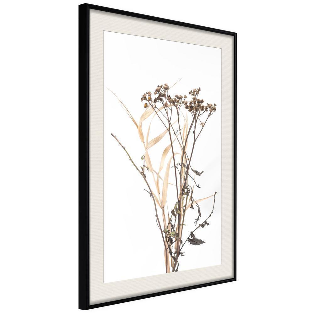 Autumn Framed Poster - Diary of a Herbalist-artwork for wall with acrylic glass protection