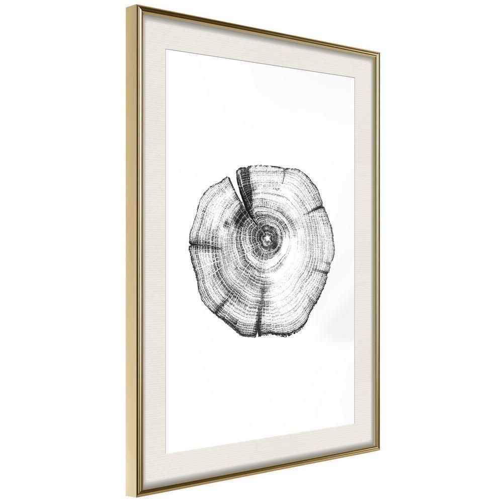 Botanical Wall Art - Tree Rings-artwork for wall with acrylic glass protection