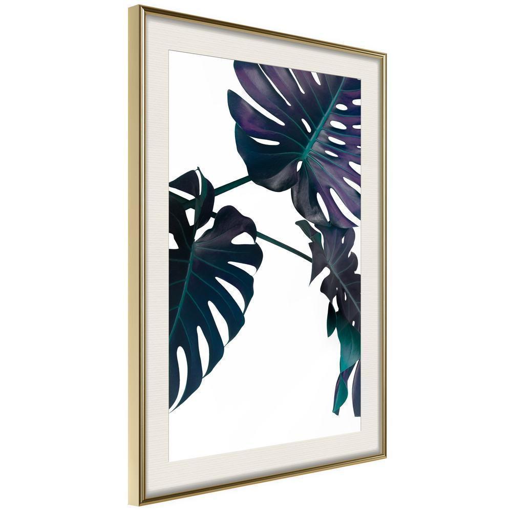 Botanical Wall Art - Evergreen Monstera-artwork for wall with acrylic glass protection