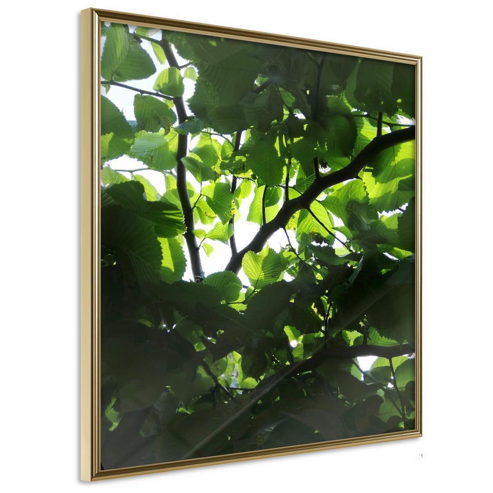 Botanical Wall Art - Under Cover of Leaves-artwork for wall with acrylic glass protection