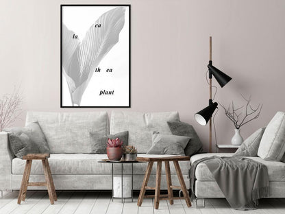 Botanical Wall Art - Calathea Leaves-artwork for wall with acrylic glass protection