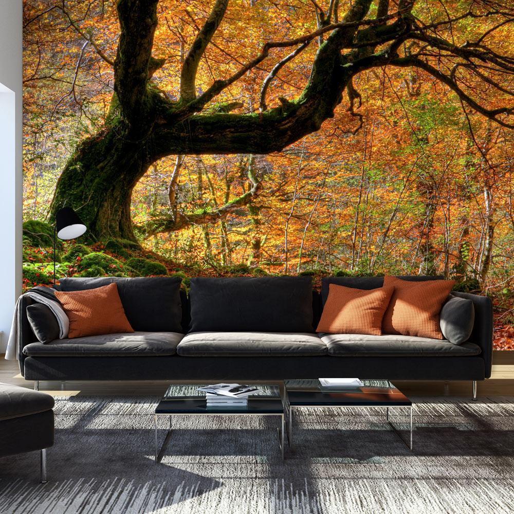 Wall Mural - Autumn forest and leaves-Wall Murals-ArtfulPrivacy