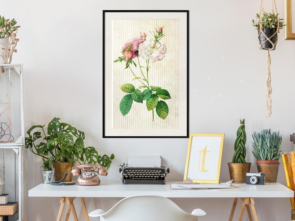 Botanical Wall Art - Romance I-artwork for wall with acrylic glass protection