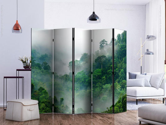 Decorative partition-Room Divider - Morning Fog II-Folding Screen Wall Panel by ArtfulPrivacy