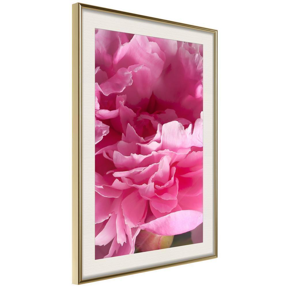 Botanical Wall Art - Magenta Madness-artwork for wall with acrylic glass protection