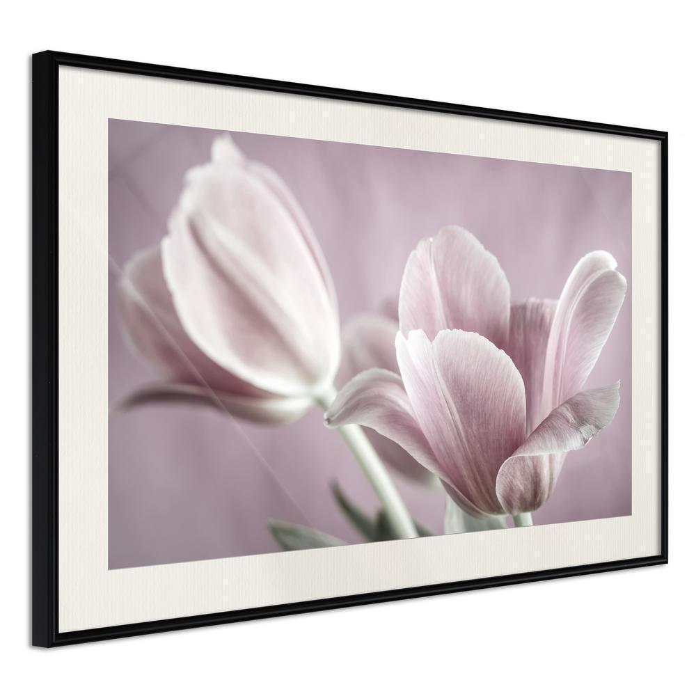Botanical Wall Art - Pastel Tulips I-artwork for wall with acrylic glass protection