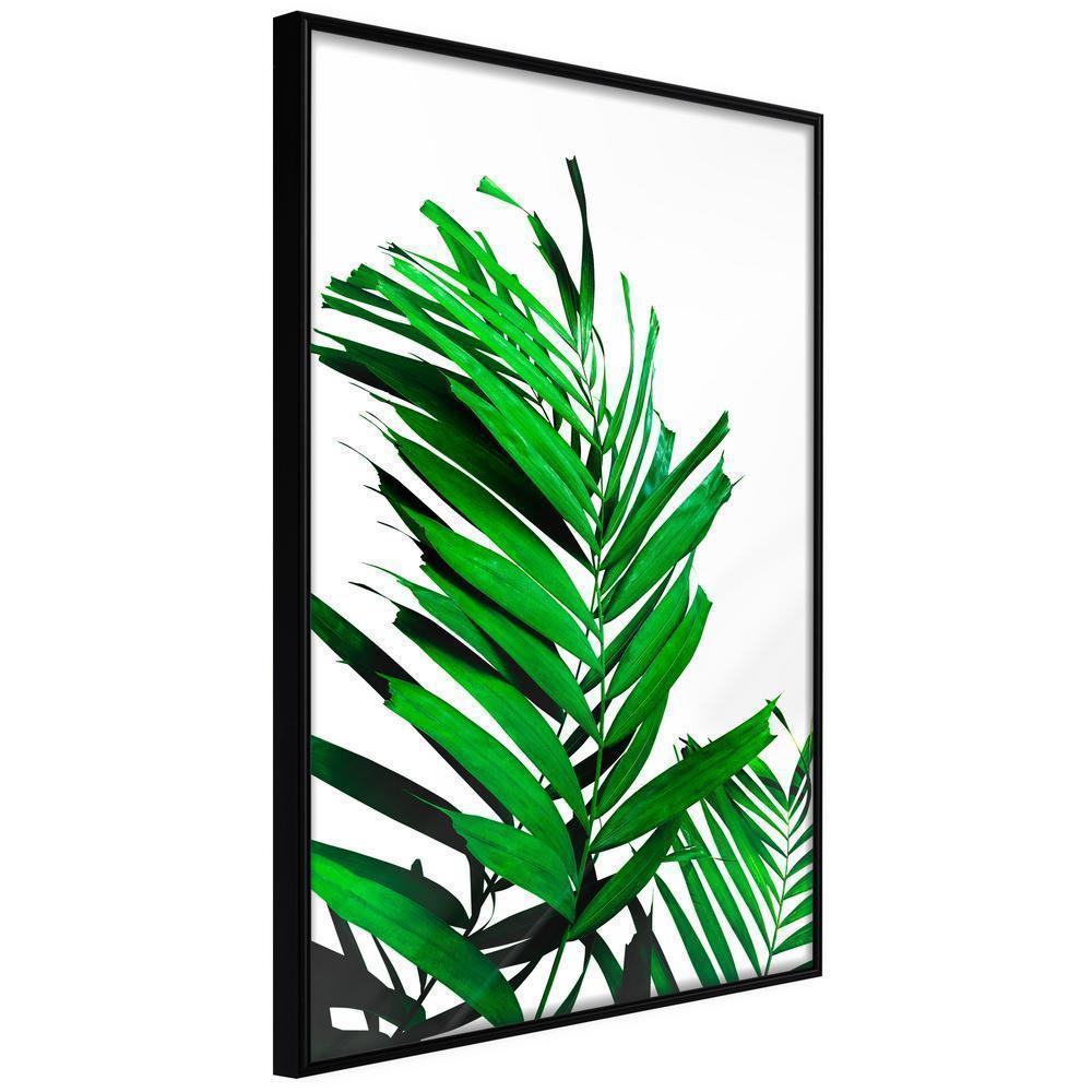 Botanical Wall Art - Emerald Palm-artwork for wall with acrylic glass protection