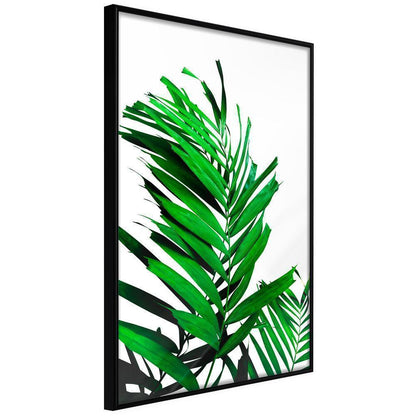 Botanical Wall Art - Emerald Palm-artwork for wall with acrylic glass protection