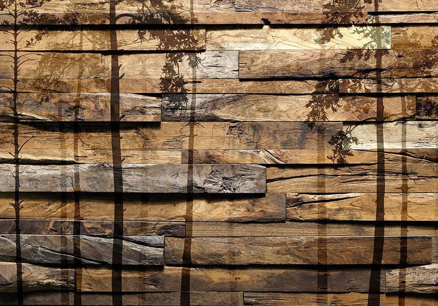 Wall Mural - Shadow of Trees-Wall Murals-ArtfulPrivacy