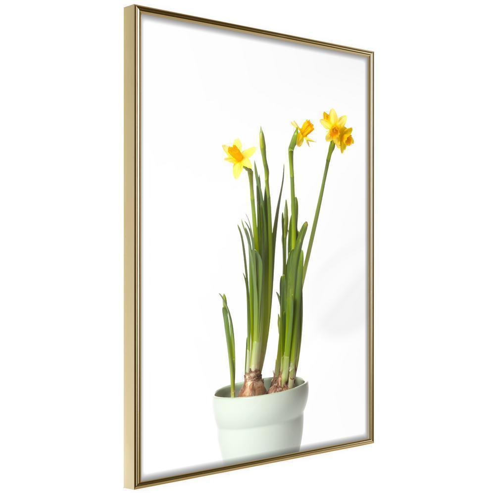 Botanical Wall Art - Piece of Nature IV-artwork for wall with acrylic glass protection