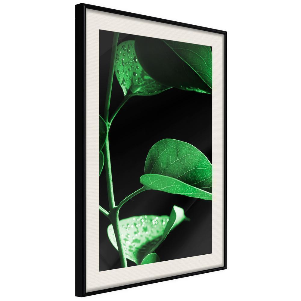 Botanical Wall Art - Calm After the Storm-artwork for wall with acrylic glass protection