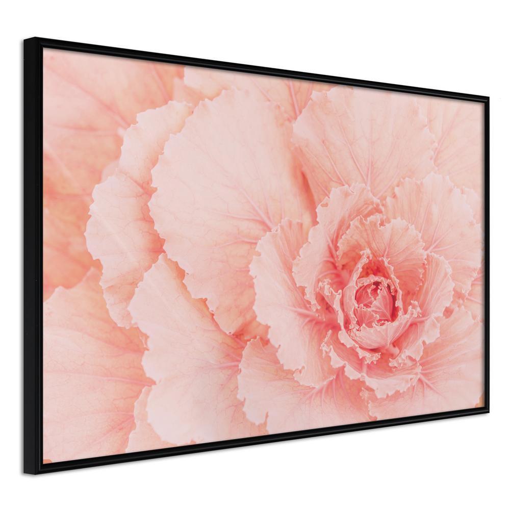 Botanical Wall Art - Delicate Petals-artwork for wall with acrylic glass protection