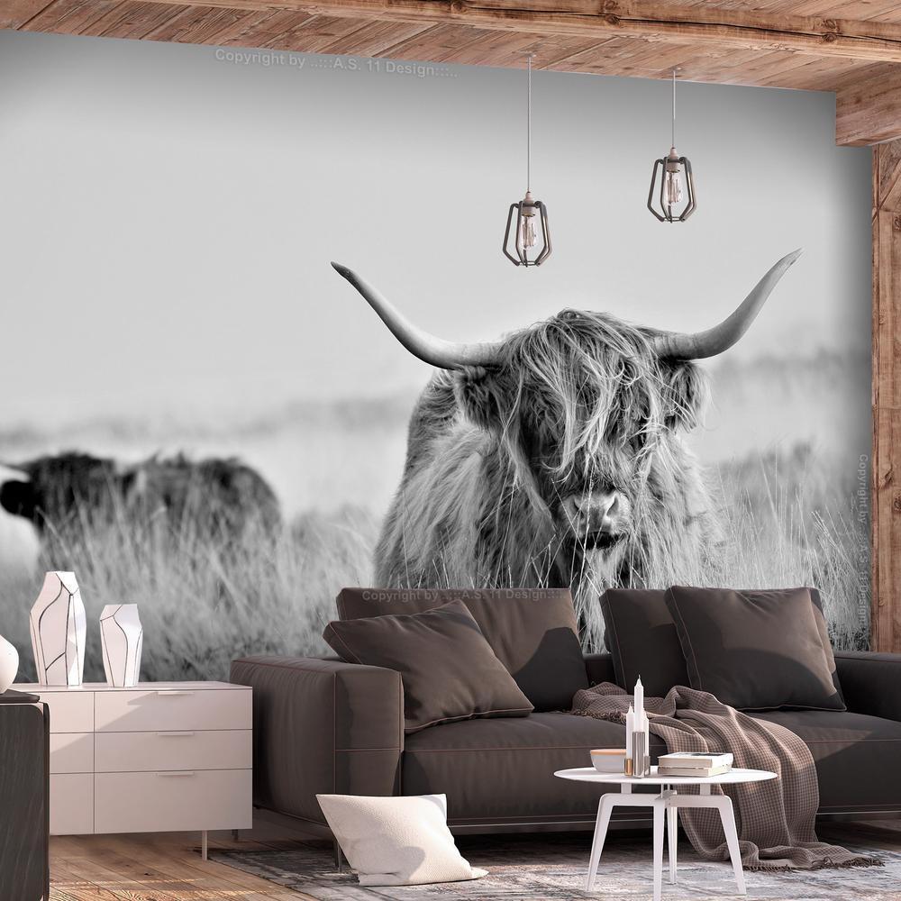 Wall Mural - Highland Cattle-Wall Murals-ArtfulPrivacy