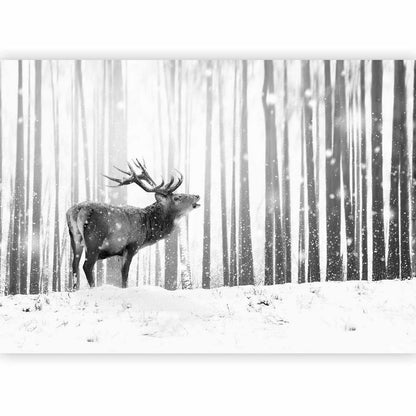 Wall Mural - Deer in the Snow (Black and White)