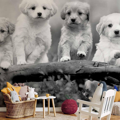 Wall Mural - Four Puppies