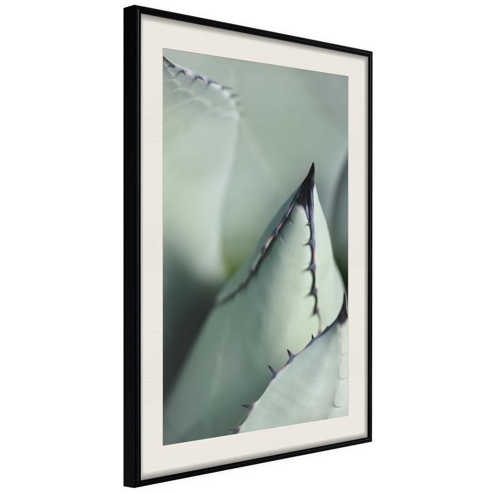 Botanical Wall Art - Young Leaf of Agave-artwork for wall with acrylic glass protection