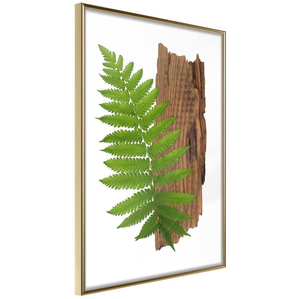 Botanical Wall Art - Expressive Ferm-artwork for wall with acrylic glass protection