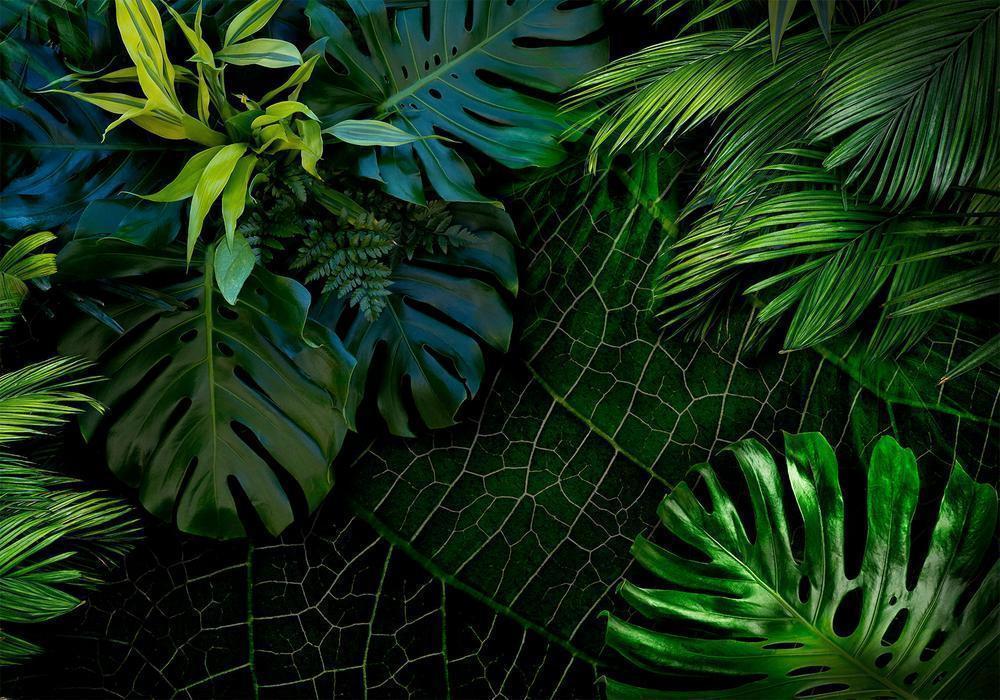 Wall Mural - Dark Jungle-Wall Murals-ArtfulPrivacy