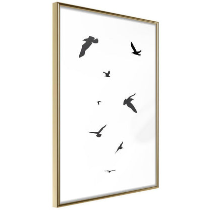 Black and White Framed Poster - Birds-artwork for wall with acrylic glass protection