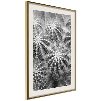 Botanical Wall Art - Do Not Touch-artwork for wall with acrylic glass protection