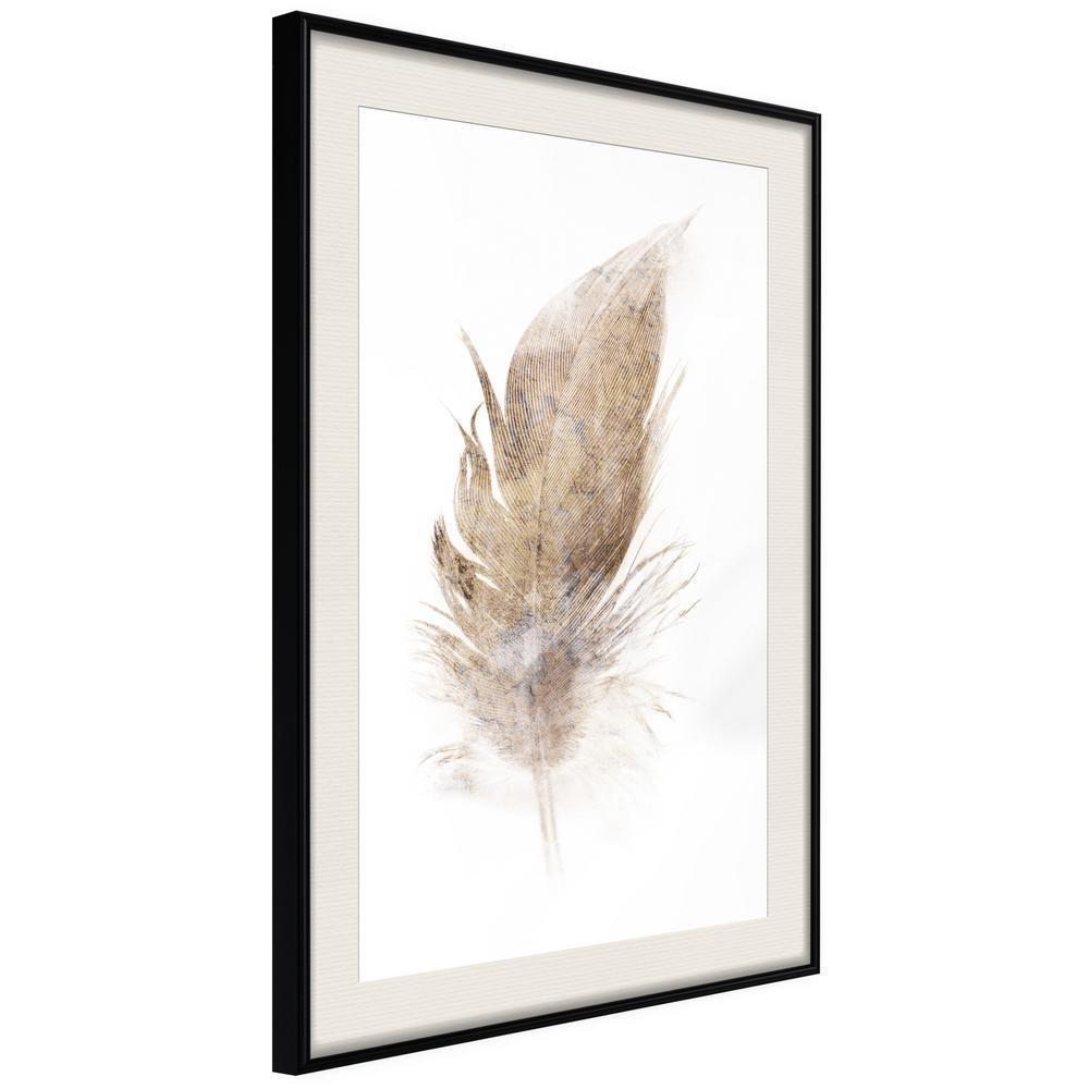 Vintage Motif Wall Decor - Lost Feather (Beige)-artwork for wall with acrylic glass protection