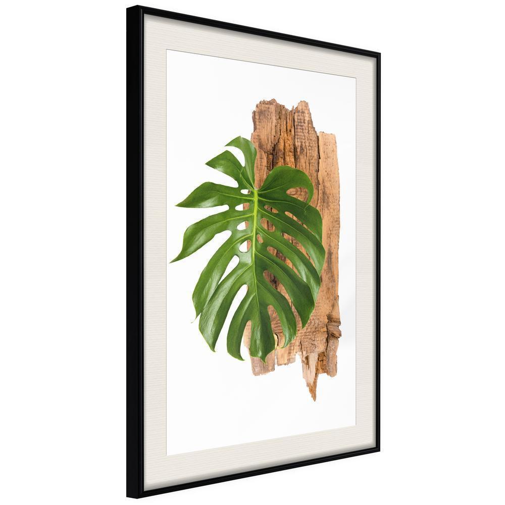 Botanical Wall Art - Leafy Etude-artwork for wall with acrylic glass protection