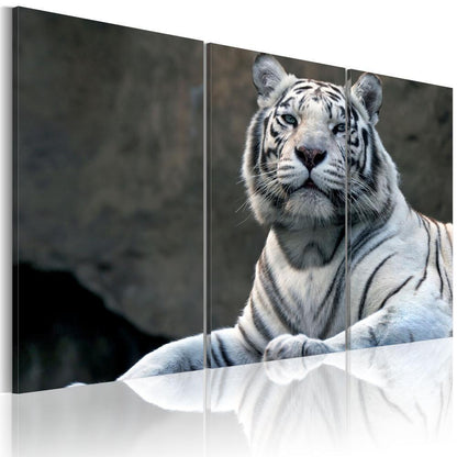 Canvas Print - White tiger-ArtfulPrivacy-Wall Art Collection