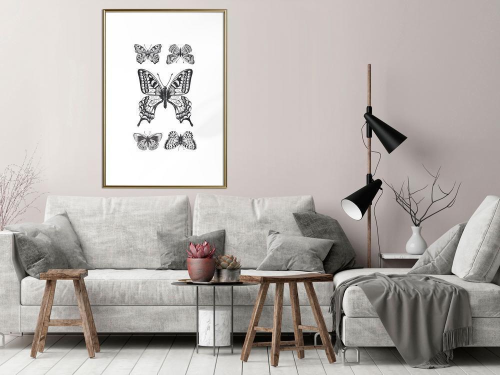 Black and White Framed Poster - Butterfly Collection IV-artwork for wall with acrylic glass protection