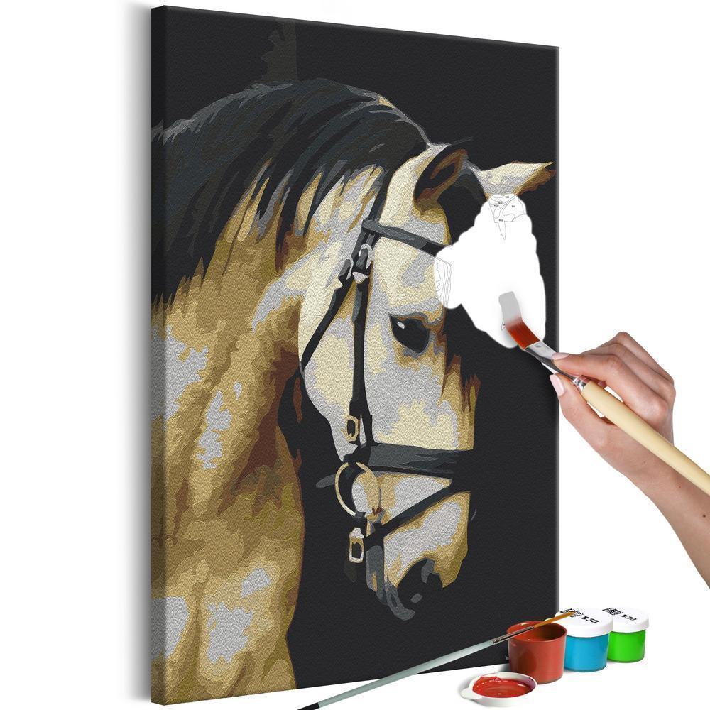 Start learning Painting - Paint By Numbers Kit - Horse Portrait - new hobby