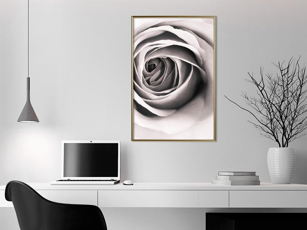 Botanical Wall Art - Structure of Petals-artwork for wall with acrylic glass protection