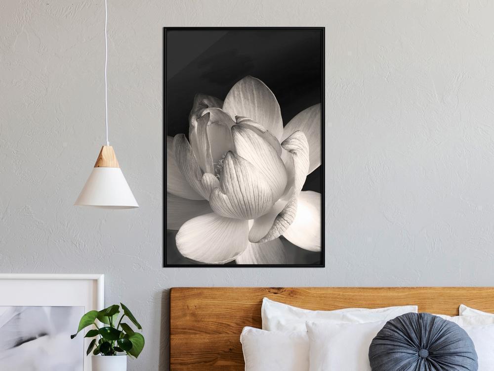 Botanical Wall Art - Delicacy of a Flower-artwork for wall with acrylic glass protection
