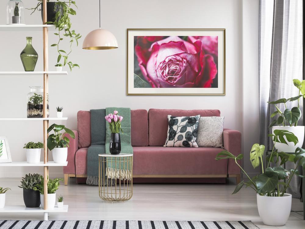 Botanical Wall Art - Blooming Rose-artwork for wall with acrylic glass protection