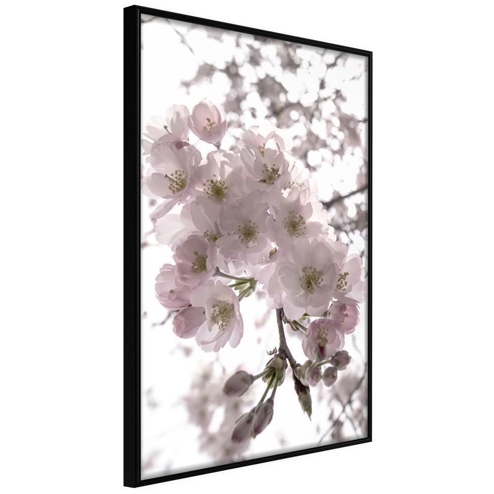 Botanical Wall Art - Spring Visit-artwork for wall with acrylic glass protection