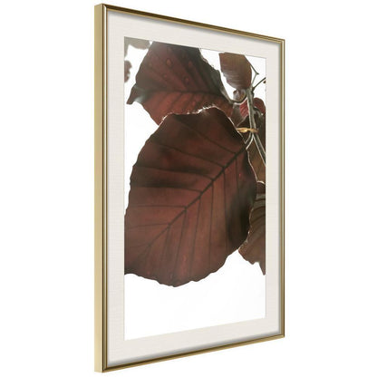 Autumn Framed Poster - Burgundy Tilia Leaf-artwork for wall with acrylic glass protection