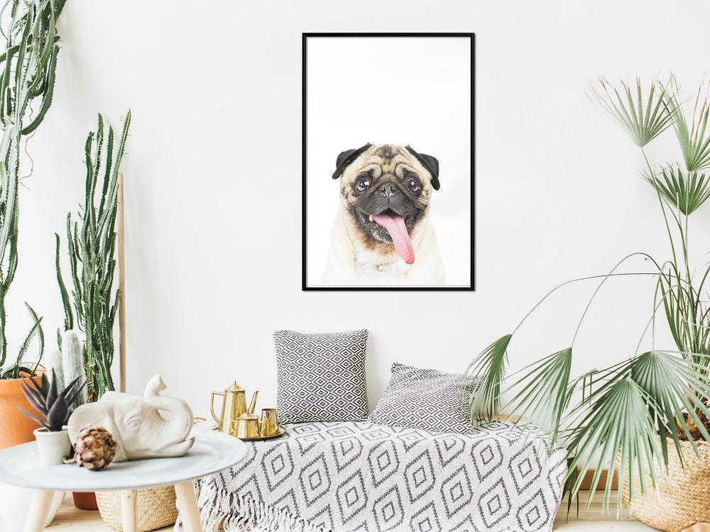 Nursery Room Wall Frame - Funny Pug-artwork for wall with acrylic glass protection