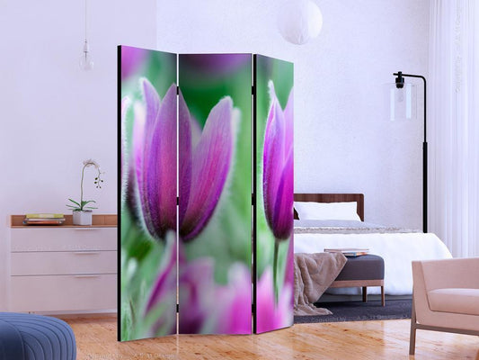Decorative partition-Room Divider - Purple spring tulips-Folding Screen Wall Panel by ArtfulPrivacy
