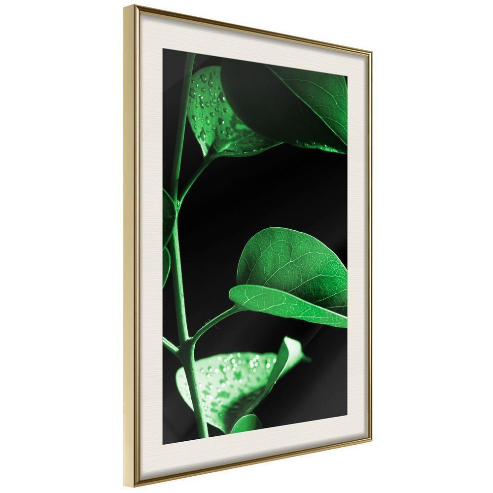 Botanical Wall Art - Calm After the Storm-artwork for wall with acrylic glass protection