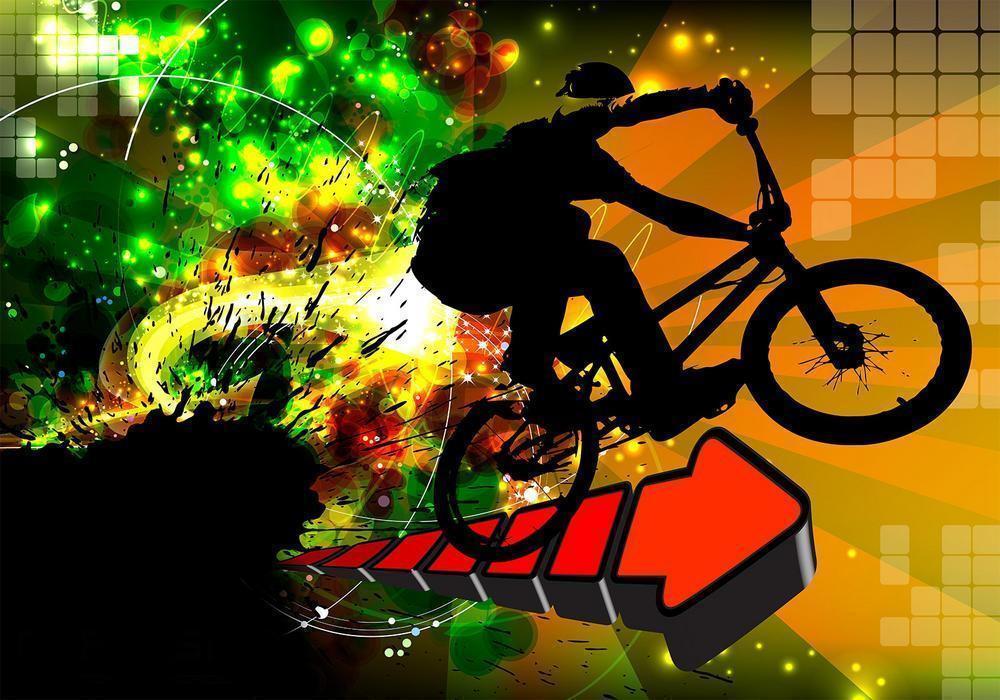 Wall Mural - Bicycle Tricks-Wall Murals-ArtfulPrivacy