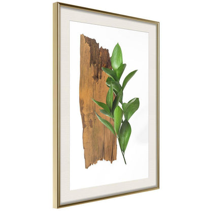 Botanical Wall Art - Forest Bouquet-artwork for wall with acrylic glass protection