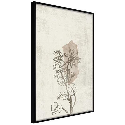 Botanical Wall Art - Life of Plants-artwork for wall with acrylic glass protection