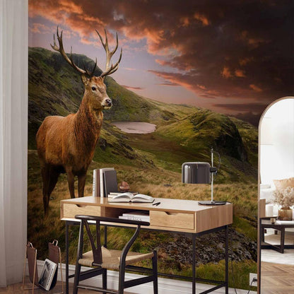 Wall Mural - Deer on Hill