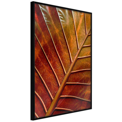 Autumn Framed Poster - Bronze Leaf-artwork for wall with acrylic glass protection