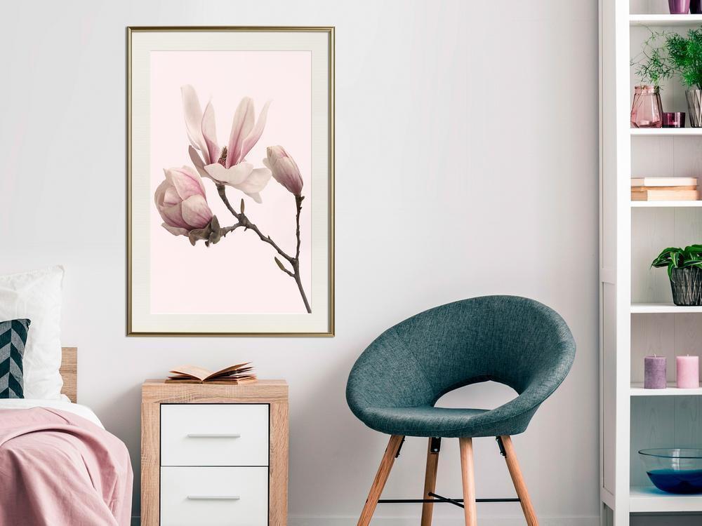 Botanical Wall Art - Blooming Magnolias II-artwork for wall with acrylic glass protection