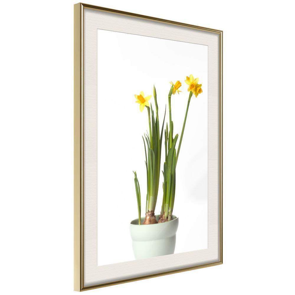 Botanical Wall Art - Piece of Nature IV-artwork for wall with acrylic glass protection