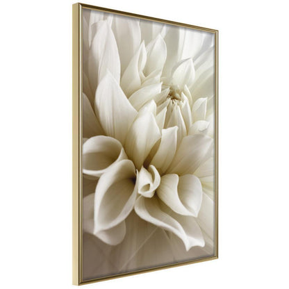 Botanical Wall Art - Peace of Soul-artwork for wall with acrylic glass protection