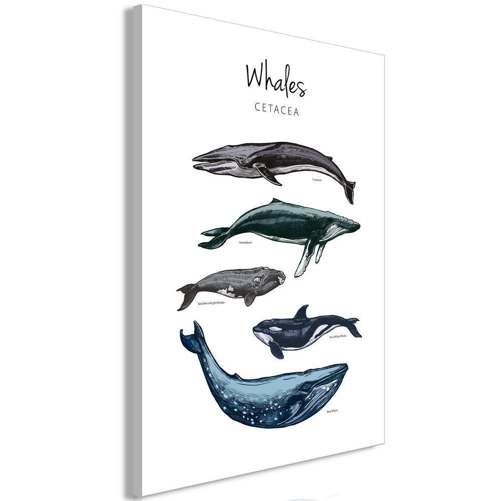 Canvas Print - Whales (1 Part) Vertical-ArtfulPrivacy-Wall Art Collection