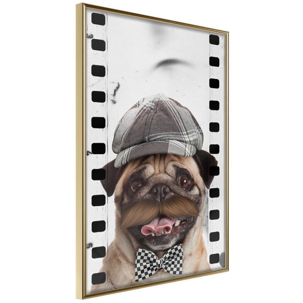 Frame Wall Art - Dressed Up Pug-artwork for wall with acrylic glass protection