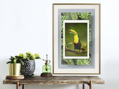 Frame Wall Art - Toucan in the Frame-artwork for wall with acrylic glass protection